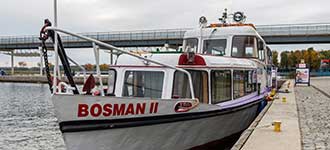 Bosman II